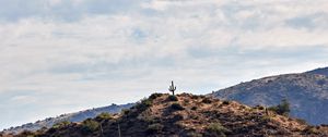 Preview wallpaper cactus, hill, plants, sky