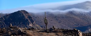 Preview wallpaper cactus, mountains, hills, cloud, landscape