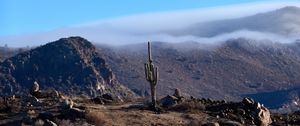 Preview wallpaper cactus, mountains, hills, cloud, landscape