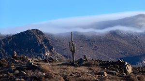 Preview wallpaper cactus, mountains, hills, cloud, landscape