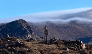 Preview wallpaper cactus, mountains, hills, cloud, landscape