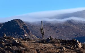 Preview wallpaper cactus, mountains, hills, cloud, landscape