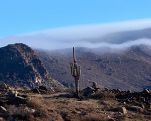 Preview wallpaper cactus, mountains, hills, cloud, landscape