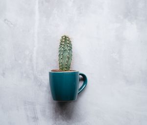 Preview wallpaper cactus, mug, houseplant, wall, texture