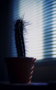 Preview wallpaper cactus, needles, plant, pot, shadow, dark