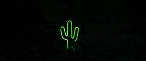 Preview wallpaper cactus, neon, dark, green