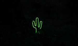 Preview wallpaper cactus, neon, dark, green