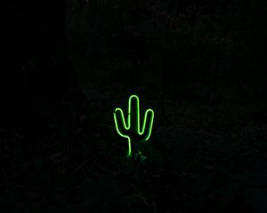 Preview wallpaper cactus, neon, dark, green