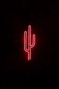Preview wallpaper cactus, neon, light, red, darkness