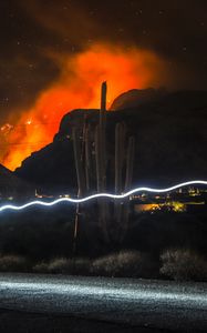 Preview wallpaper cactus, night, colored smoke, neon, line