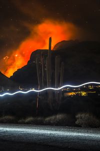 Preview wallpaper cactus, night, colored smoke, neon, line