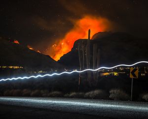Preview wallpaper cactus, night, colored smoke, neon, line