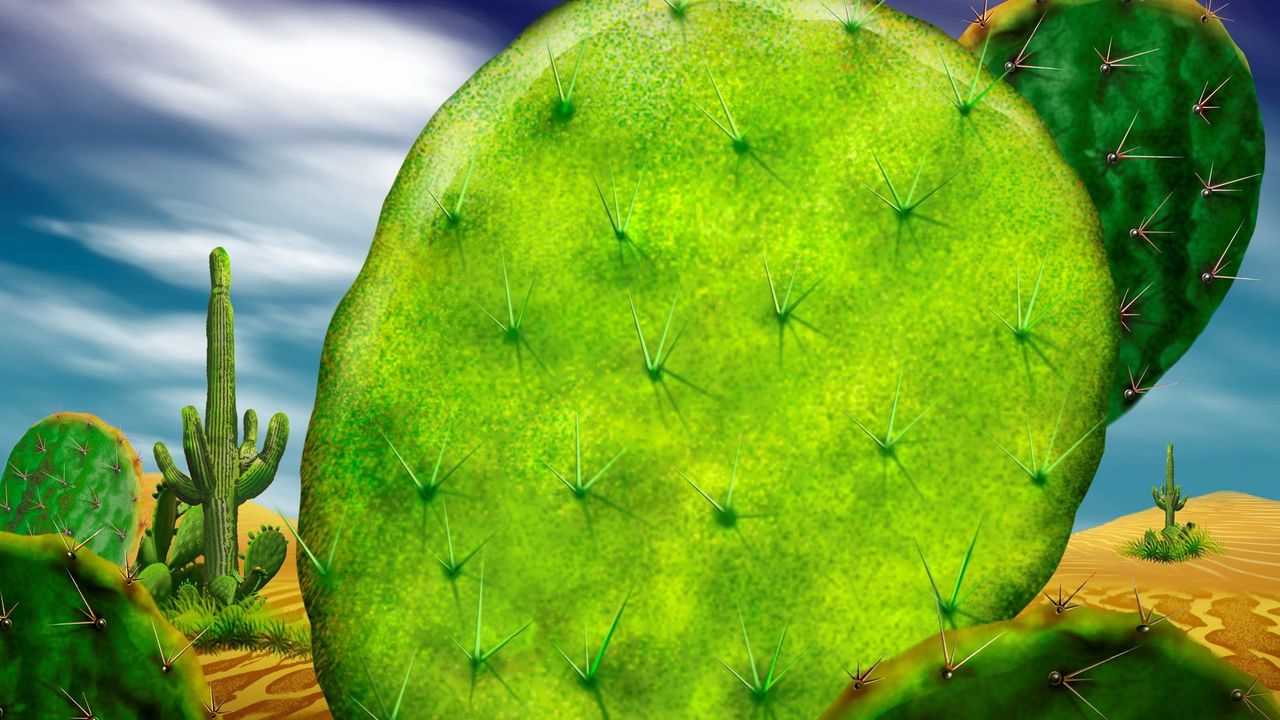 Wallpaper cactus, prickles, macro, green, brightly