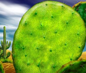 Preview wallpaper cactus, prickles, macro, green, brightly
