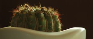 Preview wallpaper cactus, prickly, closeup, pot, bokeh