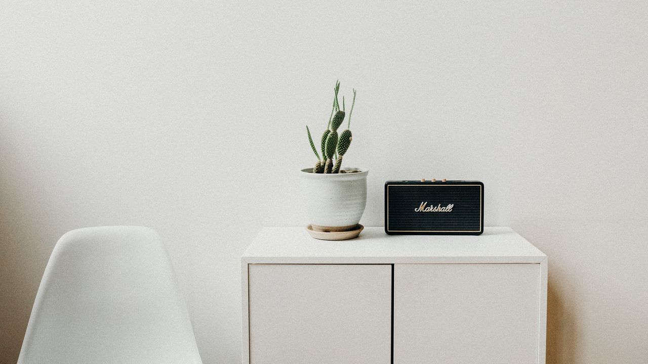 Wallpaper cactus, radio, nightstand, minimalism