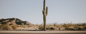 Preview wallpaper cactus, road, desert, mountains