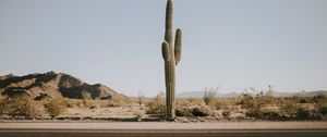 Preview wallpaper cactus, road, desert, mountains