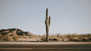 Preview wallpaper cactus, road, desert, mountains