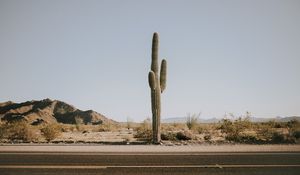 Preview wallpaper cactus, road, desert, mountains