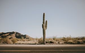 Preview wallpaper cactus, road, desert, mountains