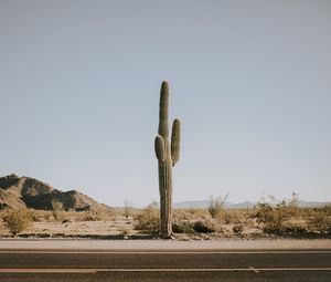 Preview wallpaper cactus, road, desert, mountains