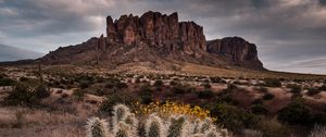Preview wallpaper cactus, rock, bushes, landscape, arizona, usa