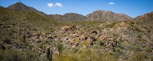 Preview wallpaper cactus, stones, hills, nature