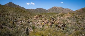 Preview wallpaper cactus, stones, hills, nature