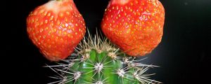Preview wallpaper cactus, strawberry, creative, green, red