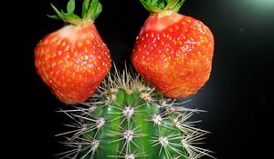 Preview wallpaper cactus, strawberry, creative, green, red