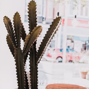 Preview wallpaper cactus, succulent, plant, decorative, indoor