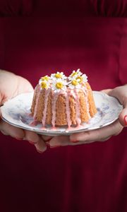 Preview wallpaper cake, chamomile, flowers, dessert