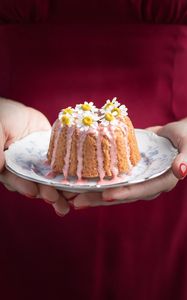 Preview wallpaper cake, chamomile, flowers, dessert