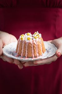 Preview wallpaper cake, chamomile, flowers, dessert
