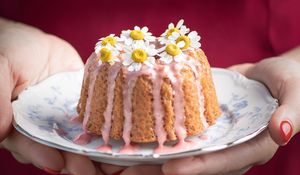 Preview wallpaper cake, chamomile, flowers, dessert