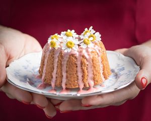 Preview wallpaper cake, chamomile, flowers, dessert