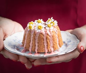 Preview wallpaper cake, chamomile, flowers, dessert