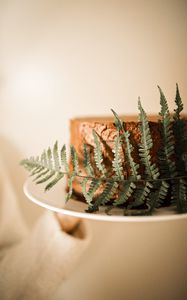 Preview wallpaper cake, fern, leaf, dessert