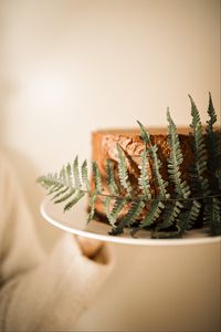 Preview wallpaper cake, fern, leaf, dessert