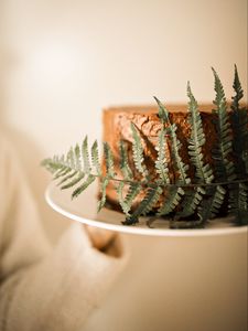 Preview wallpaper cake, fern, leaf, dessert