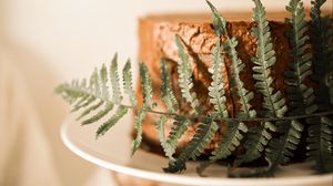 Preview wallpaper cake, fern, leaf, dessert