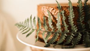 Preview wallpaper cake, fern, leaf, dessert