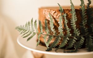 Preview wallpaper cake, fern, leaf, dessert