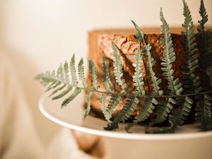 Preview wallpaper cake, fern, leaf, dessert
