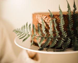 Preview wallpaper cake, fern, leaf, dessert