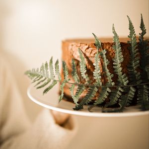 Preview wallpaper cake, fern, leaf, dessert