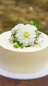 Preview wallpaper cake, flowers, white