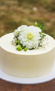 Preview wallpaper cake, flowers, white