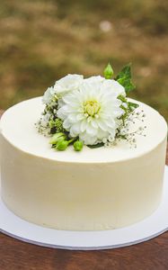 Preview wallpaper cake, flowers, white